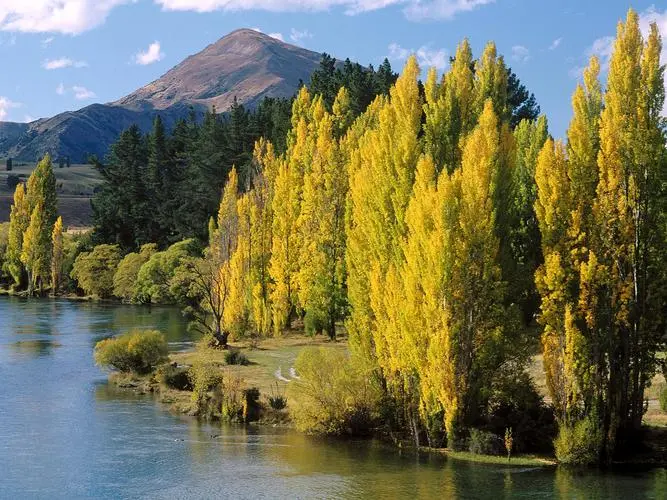 创意智能制造